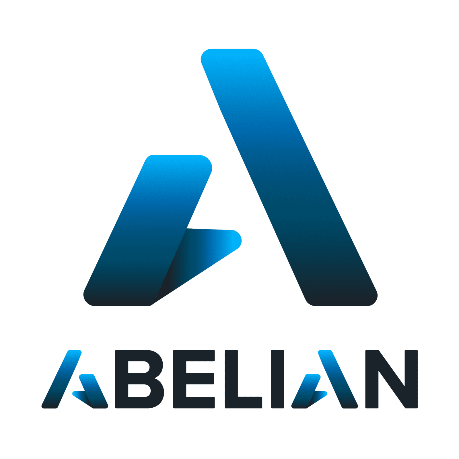 Launchpad Partner - ABELIAN